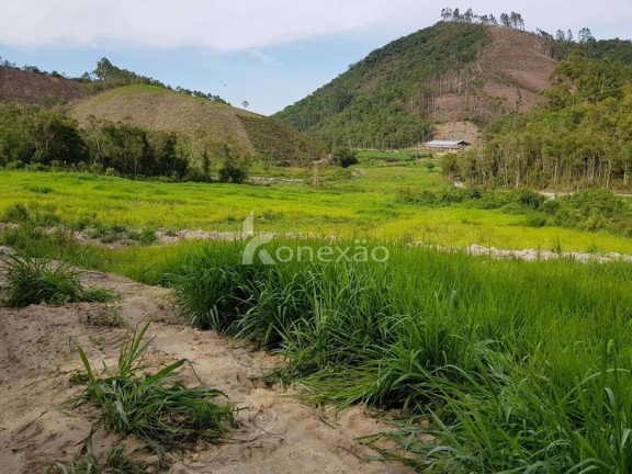 Imagem Fazenda à Venda, 90 m² em Centro - São Luíz Do Paraitinga Imagem Fazenda à Venda, 90 m² em Centro - São Luíz Do Paraitinga