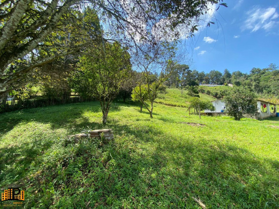 Imagem Imóvel com 2 Quartos à Venda, 7.000 m² em Girassol - São Lourenço Da Serra Imagem Imóvel com 2 Quartos à Venda, 7.000 m² em Girassol - São Lourenço Da Serra