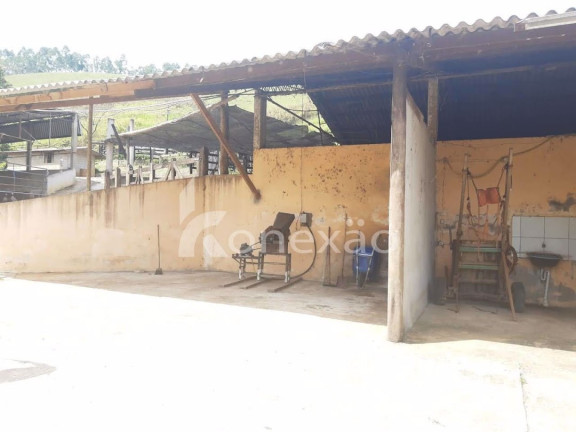 Imagem Chácara com 1 Quarto à Venda, 500 m² em Vila São Germano - Paraibuna Imagem Chácara com 1 Quarto à Venda, 500 m² em Vila São Germano - Paraibuna