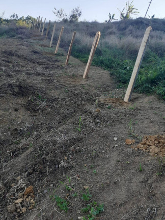 Imagem Chácara à Venda, 2 m² em Briet Catuçaba - São Luíz Do Paraitinga Imagem Chácara à Venda, 2 m² em Briet Catuçaba - São Luíz Do Paraitinga