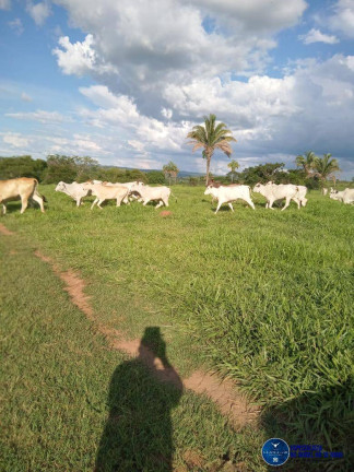 Imagem Fazenda à Venda, 190 m² em Zona Rural - Caldas Novas Imagem Fazenda à Venda, 190 m² em Zona Rural - Caldas Novas