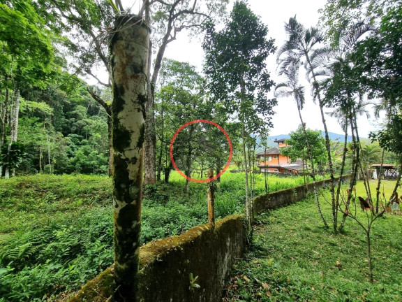 Imagem Casa com 3 Quartos à Venda, 1.000 m² em Boiçucanga - São Sebastião Imagem Casa com 3 Quartos à Venda, 1.000 m² em Boiçucanga - São Sebastião