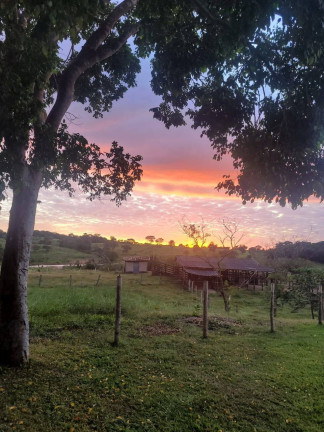 Imagem Fazenda à Venda, 52 m² em Zona Rural - Goiás Imagem Fazenda à Venda, 52 m² em Zona Rural - Goiás