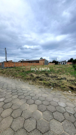 Terreno à Venda,  em São Defende - Criciúma