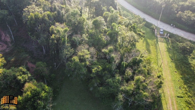 Imagem Terreno à Venda, 3.000 m² em Barrinha - São Lourenço Da Serra Imagem Terreno à Venda, 3.000 m² em Barrinha - São Lourenço Da Serra
