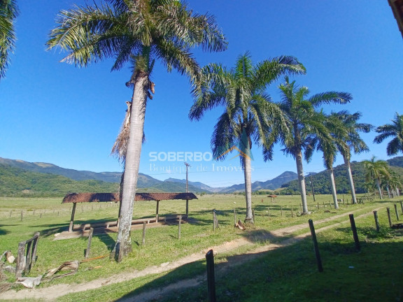 Imagem Imóvel com 8 Quartos à Venda, 6.000.000 m² em Gaviões - Silva Jardim Imagem Imóvel com 8 Quartos à Venda, 6.000.000 m² em Gaviões - Silva Jardim
