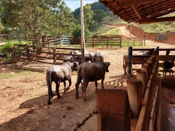 Imagem Fazenda à Venda, 600 m² em Sao Germano - Paraibuna Imagem Fazenda à Venda, 600 m² em Sao Germano - Paraibuna