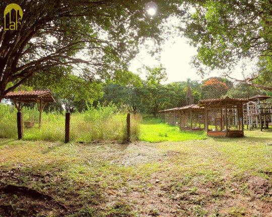 Imagem Terreno à Venda, 20 m² em Santa Rosa - Sarzedo Imagem Terreno à Venda, 20 m² em Santa Rosa - Sarzedo