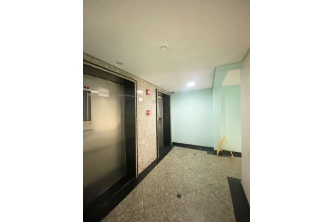 Imagem Apartamento com 3 Quartos à Venda, 61 m² em Vila Das Mercês - São Paulo