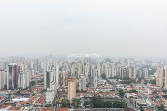 Imagem Apartamento com 3 Quartos à Venda, 227 m² em Vila Gomes Cardim - São Paulo
