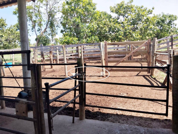 Imagem Chácara à Venda, 13 m² em Zona Rural - Faina Imagem Chácara à Venda, 13 m² em Zona Rural - Faina