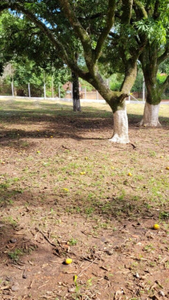 Imagem Chácara com 4 Quartos à Venda, 800 m² em Chácaras Bocaiúva Nova - Campinas