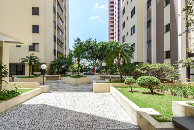 Imagem Imóvel com 2 Quartos à Venda, 56 m² em Cambuci - São Paulo Imagem Imóvel com 2 Quartos à Venda, 56 m² em Cambuci - São Paulo