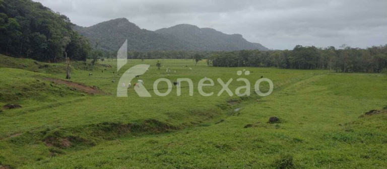 Imagem Fazenda à Venda, 90 m² em Braço Grande - Miracatu Imagem Fazenda à Venda, 90 m² em Braço Grande - Miracatu