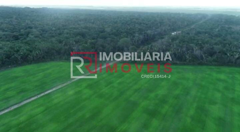 Imagem Fazenda à Venda, 40 m² em Conceição Do Araguaia Imagem Fazenda à Venda, 40 m² em Conceição Do Araguaia