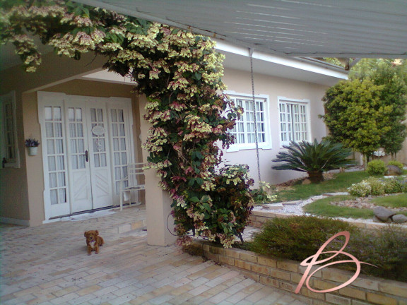 Imagem Casa com 4 Quartos à Venda, 450 m² em Dom Bosco - Itajaí