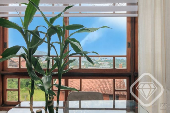 Imagem Casa com 3 Quartos à Venda, 183 m² em Ipanema - Porto Alegre Imagem Casa com 3 Quartos à Venda, 183 m² em Ipanema - Porto Alegre
