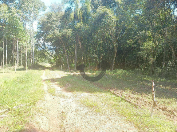 Imagem Chácara à Venda, 110 m² em Linha Travessa - Santa Cruz Do Sul Imagem Chácara à Venda, 110 m² em Linha Travessa - Santa Cruz Do Sul