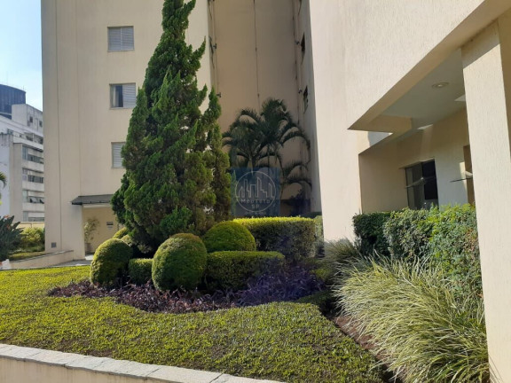 Imagem Apartamento com 3 Quartos à Venda, 74 m² em Liberdade - São Paulo Imagem Apartamento com 3 Quartos à Venda, 74 m² em Liberdade - São Paulo