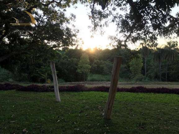 Imagem Fazenda à Venda, 968.000 m² em São Luis - Jacutinga