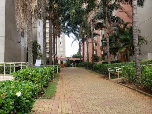 Imagem Apartamento com 3 Quartos à Venda, 65 m² em Cambuci - São Paulo Imagem Apartamento com 3 Quartos à Venda, 65 m² em Cambuci - São Paulo