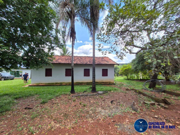 Imagem Chácara à Venda, 6 m² em Zona Rural - Hidrolândia Imagem Chácara à Venda, 6 m² em Zona Rural - Hidrolândia