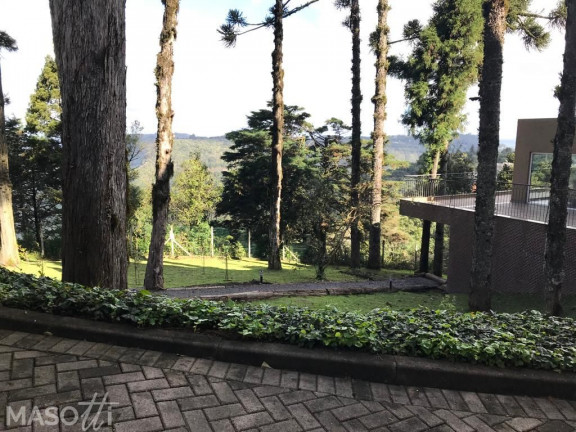 Imagem Apartamento com 1 Quarto à Venda, 11.788 m² em Centro - Gramado Imagem Apartamento com 1 Quarto à Venda, 11.788 m² em Centro - Gramado