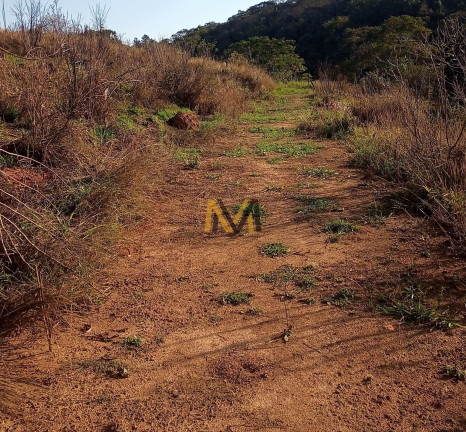 Imagem Terreno à Venda, 7.000 m² em Capoavinha - Mairiporã Imagem Terreno à Venda, 7.000 m² em Capoavinha - Mairiporã