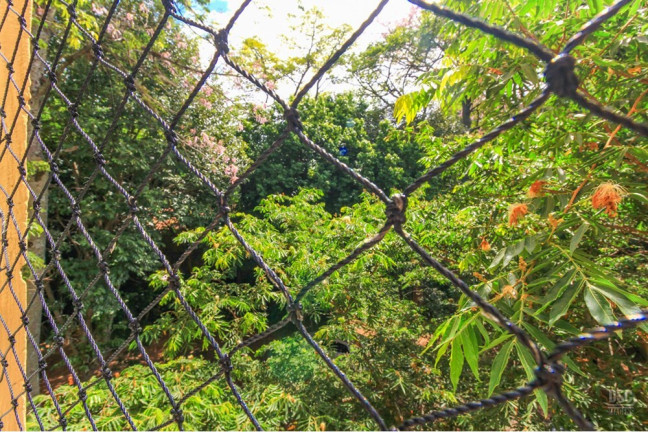 Imagem Imóvel com 2 Quartos à Venda, 55 m² em Guarujá - Porto Alegre Imagem Imóvel com 2 Quartos à Venda, 55 m² em Guarujá - Porto Alegre