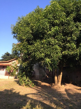 Imagem Imóvel à Venda, 2.000 m² em Campo Grande - Rio De Janeiro Imagem Imóvel à Venda, 2.000 m² em Campo Grande - Rio De Janeiro