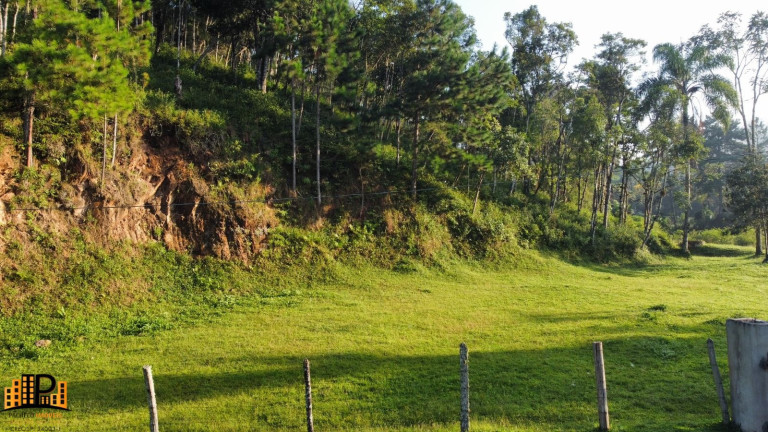 Imagem Terreno à Venda, 3.000 m² em Barrinha - São Lourenço Da Serra Imagem Terreno à Venda, 3.000 m² em Barrinha - São Lourenço Da Serra