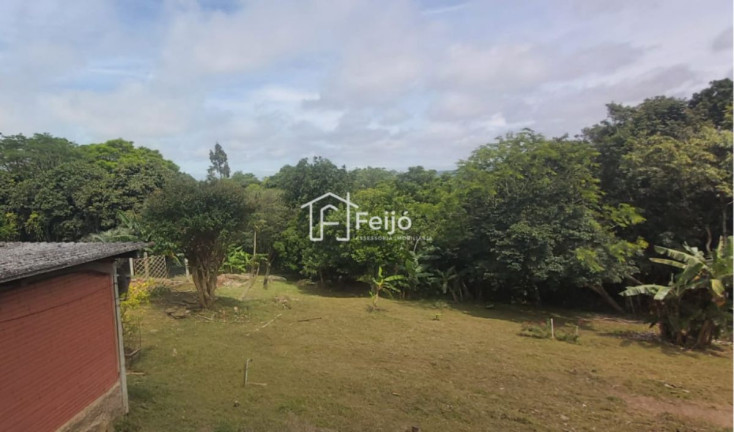 Imagem Fazenda à Venda, 6.000 m² em Lageado - Porto Alegre