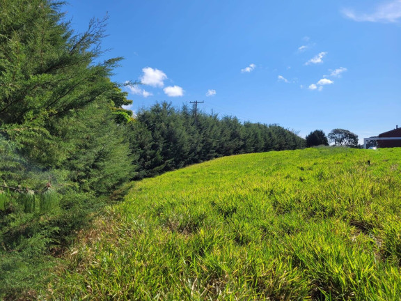 Imagem Terreno em Condomínio à Venda, 1 m² em Azevedo - Joanópolis Imagem Terreno em Condomínio à Venda, 1 m² em Azevedo - Joanópolis