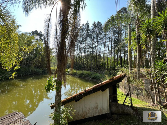 Imagem Imóvel com 5 Quartos à Venda, 2.000 m² em Itatuba - São Lourenço Da Serra Imagem Imóvel com 5 Quartos à Venda, 2.000 m² em Itatuba - São Lourenço Da Serra