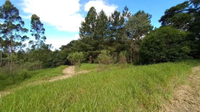 Imagem Imóvel com 2 Quartos à Venda, 28.600 m² em Passo Da Areia - Viamão Imagem Imóvel com 2 Quartos à Venda, 28.600 m² em Passo Da Areia - Viamão