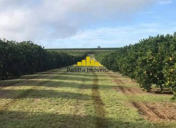 Imagem Fazenda à Venda, 350 m² em Residencial Vale Verde - Marília Imagem Fazenda à Venda, 350 m² em Residencial Vale Verde - Marília