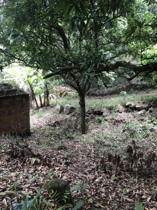 Imagem Imóvel à Venda, 1.200 m² em Campo Grande - Rio De Janeiro Imagem Imóvel à Venda, 1.200 m² em Campo Grande - Rio De Janeiro