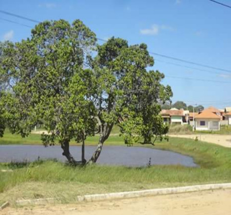 Imagem Casa com 4 Quartos à Venda, 200 m² em Outeiro - Araruama Imagem Casa com 4 Quartos à Venda, 200 m² em Outeiro - Araruama