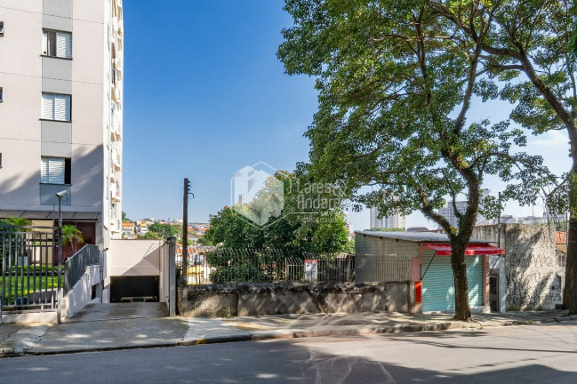 Imagem Terreno à Venda, 700 m² em Vila Anglo Brasileira - São Paulo Imagem Terreno à Venda, 700 m² em Vila Anglo Brasileira - São Paulo