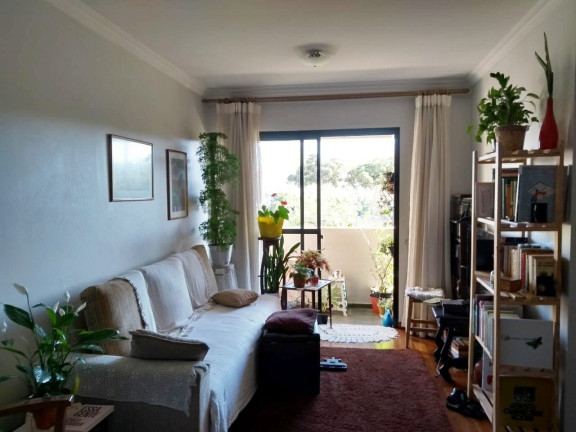 Imagem Imóvel com 3 Quartos à Venda, 71 m² em Vila Firmiano Pinto - São Paulo