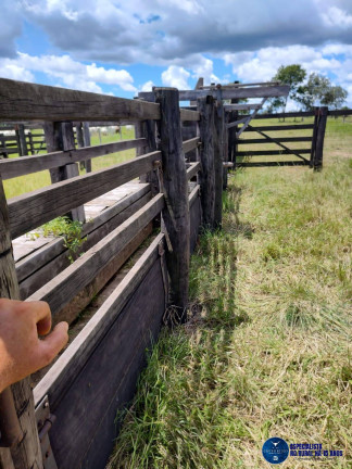 Imagem Fazenda à Venda, 105 m² em Zona Rural - Fazenda Nova Imagem Fazenda à Venda, 105 m² em Zona Rural - Fazenda Nova