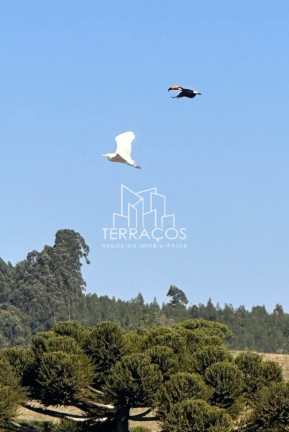 Imagem Terreno à Venda, 2.000 m² em Sertão Grande - Munhoz Imagem Terreno à Venda, 2.000 m² em Sertão Grande - Munhoz