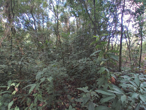 Imagem Terreno à Venda, 16.000 m² em Piedade Do Paraopeba - Brumadinho Imagem Terreno à Venda, 16.000 m² em Piedade Do Paraopeba - Brumadinho