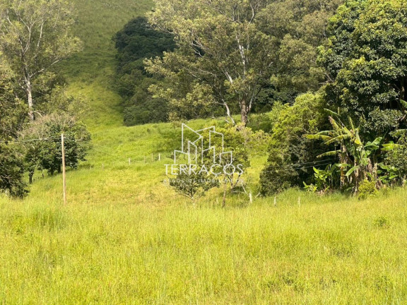 Imagem Terreno à Venda, 2.000 m² em Bairro Dos Felipes. - Munhoz Imagem Terreno à Venda, 2.000 m² em Bairro Dos Felipes. - Munhoz