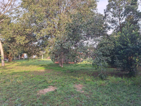 Imagem Terreno à Venda, 3.200 m² em águas Claras - Viamão Imagem Terreno à Venda, 3.200 m² em águas Claras - Viamão