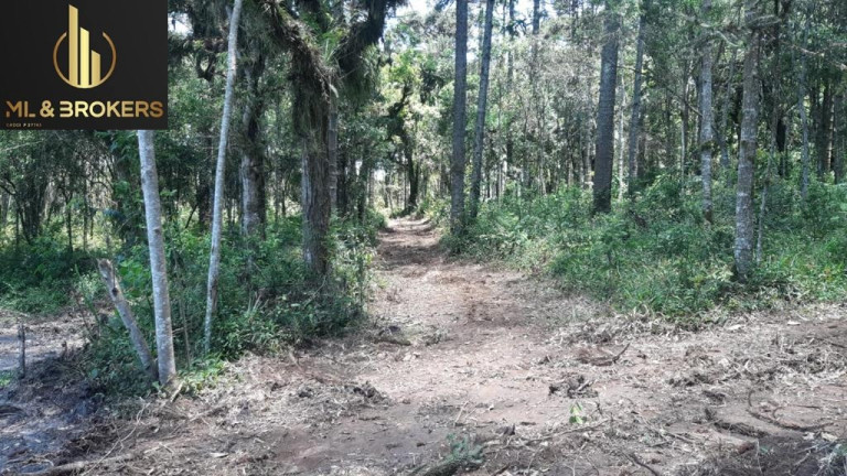 Imagem Imóvel à Venda, 60.500 m² em Quitandinha - Quitandinha Imagem Imóvel à Venda, 60.500 m² em Quitandinha - Quitandinha