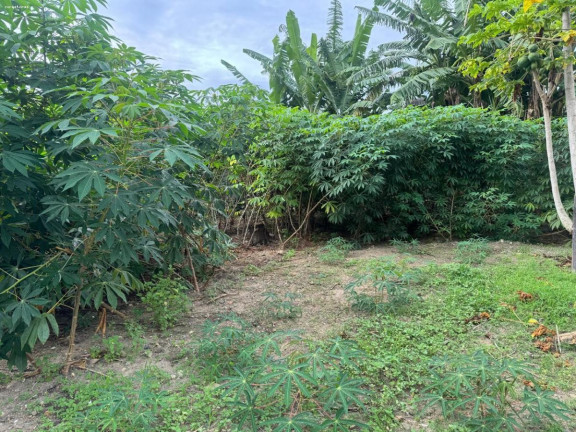 Imagem Terreno à Venda, 300 m² em São Francisco Da Praia - São Sebastião Imagem Terreno à Venda, 300 m² em São Francisco Da Praia - São Sebastião