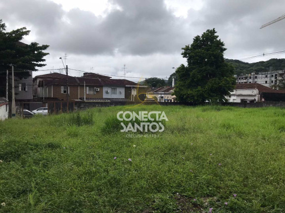 Imagem Terreno para Alugar, 1.008 m² em Jabaquara - Santos Imagem Terreno para Alugar, 1.008 m² em Jabaquara - Santos