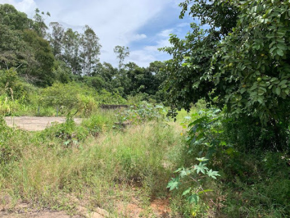 Imagem Imóvel à Venda, 19.847 m² em Estiva - Louveira