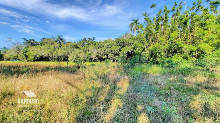 Imagem Fazenda à Venda, 5.000 m² em águas Claras - Viamão Imagem Fazenda à Venda, 5.000 m² em águas Claras - Viamão